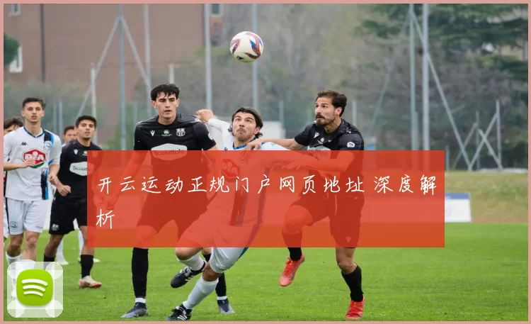 开云运动正规门户网页地址 深度解析