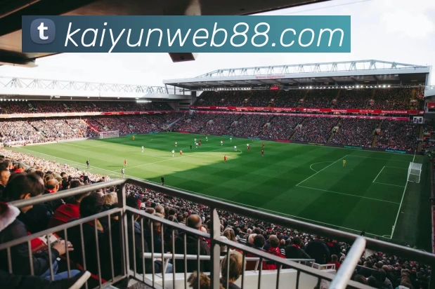 App Interface Preview